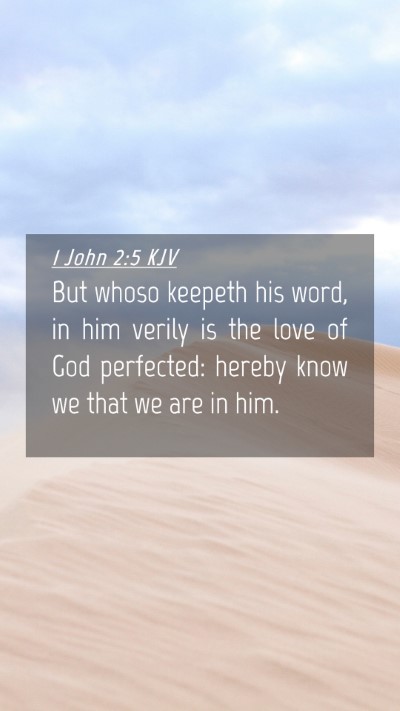 Picture 04 - 1 John 2:5 KJV Mobile Phone Wallpaper - But whoso keepeth his word, in him verily is the - Mobile Bible Verse Wallpaper