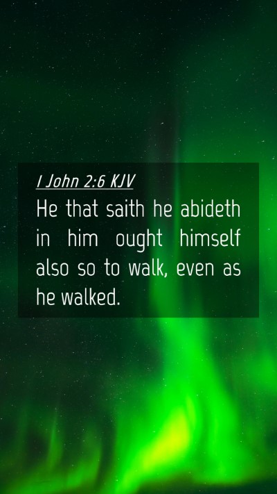 Picture 04 - 1 John 2:6 KJV Mobile Phone Wallpaper - He that saith he abideth in him ought himself - Mobile Bible Verse Wallpaper