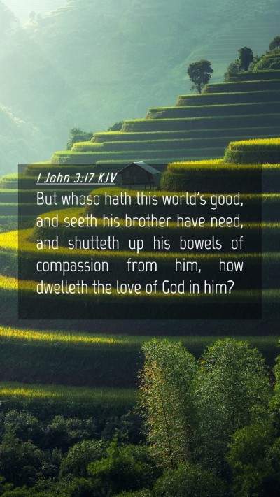 Picture 04 - 1 John 3:17 KJV Mobile Phone Wallpaper - But whoso hath this world's good, and seeth his - Mobile Bible Verse Wallpaper