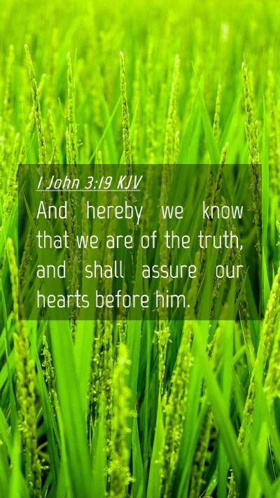 Picture 04 - 1 John 3:19 KJV Mobile Phone Wallpaper - And hereby we know that we are of the truth, and - Mobile Bible Verse Wallpaper