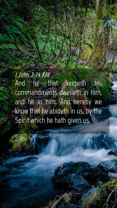 Picture 04 - 1 John 3:24 KJV Mobile Phone Wallpaper - And he that keepeth his commandments dwelleth in - Mobile Bible Verse Wallpaper