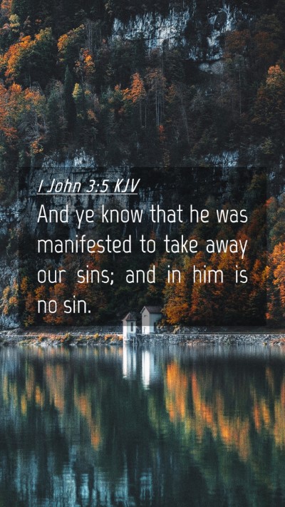 Picture 04 - 1 John 3:5 KJV Mobile Phone Wallpaper - And ye know that he was manifested to take away - Mobile Bible Verse Wallpaper