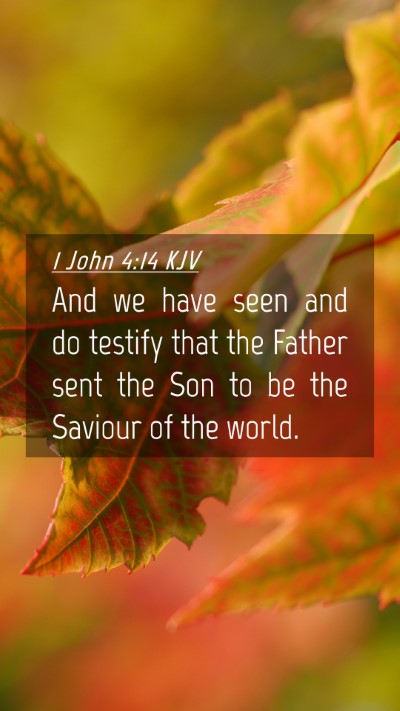 Picture 04 - 1 John 4:14 KJV Mobile Phone Wallpaper - And we have seen and do testify that the Father - Mobile Bible Verse Wallpaper
