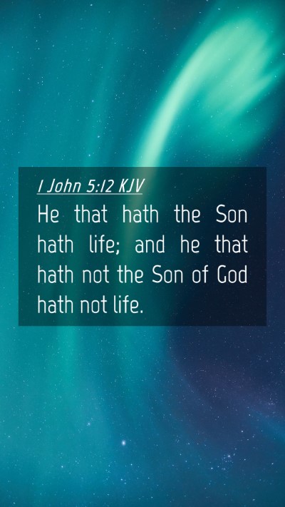 Picture 04 - 1 John 5:12 KJV Mobile Phone Wallpaper - He that hath the Son hath life; and he that hath - Mobile Bible Verse Wallpaper