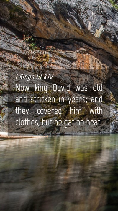 Picture 04 - 1 Kings 1:1 KJV Mobile Phone Wallpaper - Now king David was old and stricken in years; and - Mobile Bible Verse Wallpaper