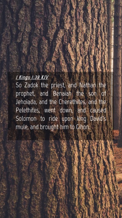 Picture 04 - 1 Kings 1:38 KJV Mobile Phone Wallpaper - So Zadok the priest, and Nathan the prophet, and - Mobile Bible Verse Wallpaper