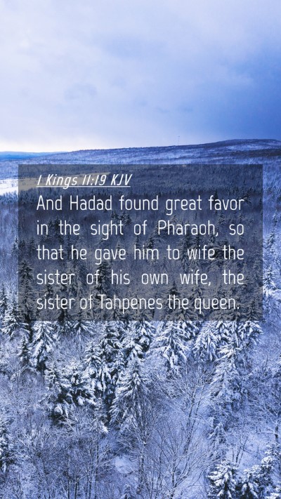 Picture 04 - 1 Kings 11:19 KJV Mobile Phone Wallpaper - And Hadad found great favor in the sight of - Mobile Bible Verse Wallpaper