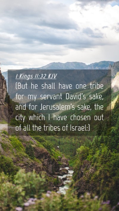 Picture 04 - 1 Kings 11:32 KJV Mobile Phone Wallpaper - (But he shall have one tribe for my servant - Mobile Bible Verse Wallpaper