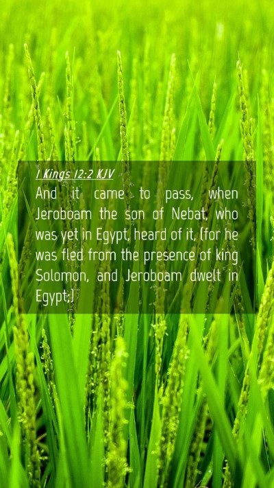 Picture 04 - 1 Kings 12:2 KJV Mobile Phone Wallpaper - And it came to pass, when Jeroboam the son of - Mobile Bible Verse Wallpaper
