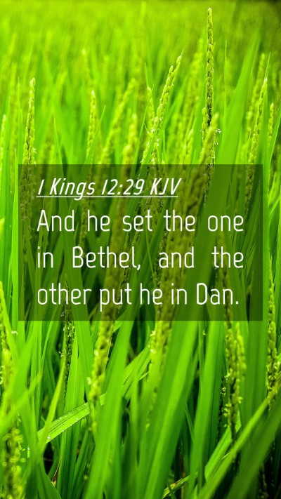 Picture 04 - 1 Kings 12:29 KJV Mobile Phone Wallpaper - And he set the one in Bethel, and the other put - Mobile Bible Verse Wallpaper