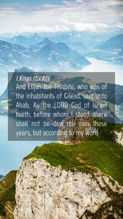 Picture 04 - 1 Kings 17:1 KJV Mobile Phone Wallpaper - And Elijah the Tishbite, who was of the - Mobile Bible Verse Wallpaper