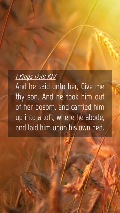 Picture 04 - 1 Kings 17:19 KJV Mobile Phone Wallpaper - And he said unto her, Give me thy son. And he - Mobile Bible Verse Wallpaper