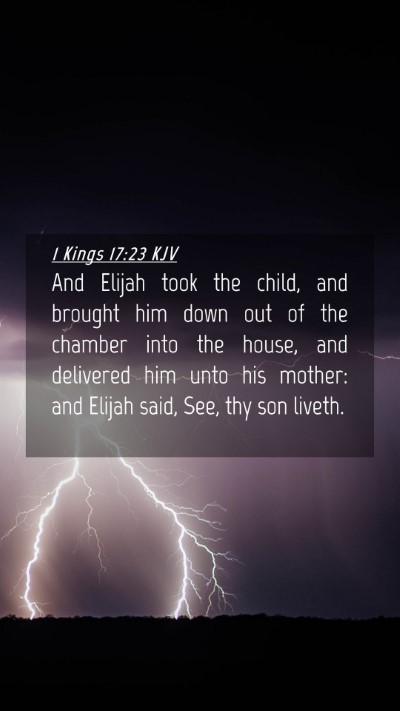 Picture 04 - 1 Kings 17:23 KJV Mobile Phone Wallpaper - And Elijah took the child, and brought him down - Mobile Bible Verse Wallpaper