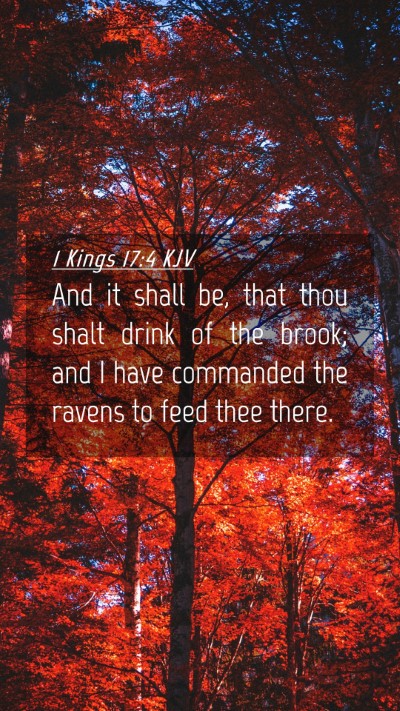 Picture 04 - 1 Kings 17:4 KJV Mobile Phone Wallpaper - And it shall be, that thou shalt drink of the - Mobile Bible Verse Wallpaper