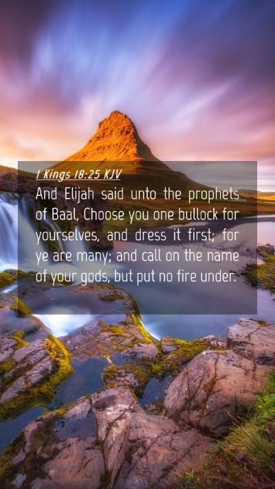 Picture 04 - 1 Kings 18:25 KJV Mobile Phone Wallpaper - And Elijah said unto the prophets of Baal, Choose - Mobile Bible Verse Wallpaper