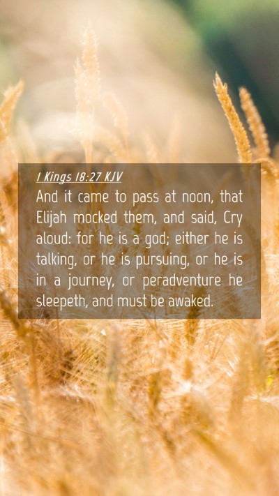Picture 04 - 1 Kings 18:27 KJV Mobile Phone Wallpaper - And it came to pass at noon, that Elijah mocked - Mobile Bible Verse Wallpaper