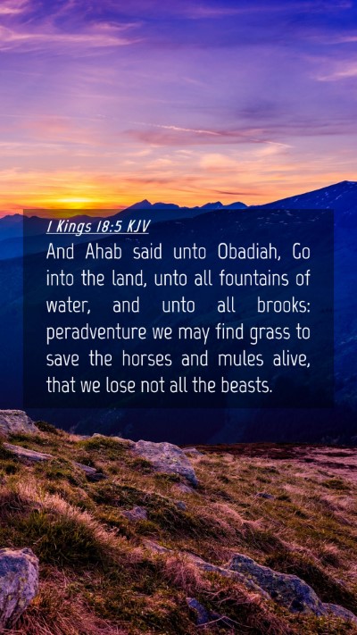 Picture 04 - 1 Kings 18:5 KJV Mobile Phone Wallpaper - And Ahab said unto Obadiah, Go into the land, - Mobile Bible Verse Wallpaper