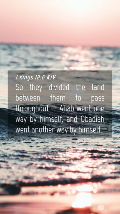 Picture 04 - 1 Kings 18:6 KJV Mobile Phone Wallpaper - So they divided the land between them to pass - Mobile Bible Verse Wallpaper