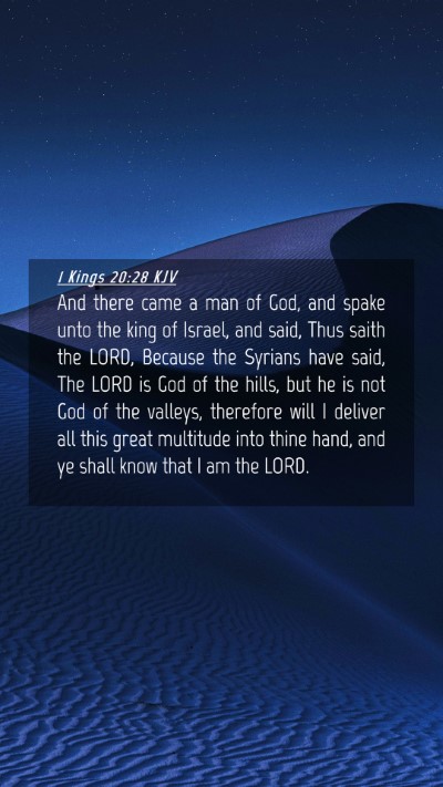 Picture 04 - 1 Kings 20:28 KJV Mobile Phone Wallpaper - And there came a man of God, and spake unto the - Mobile Bible Verse Wallpaper