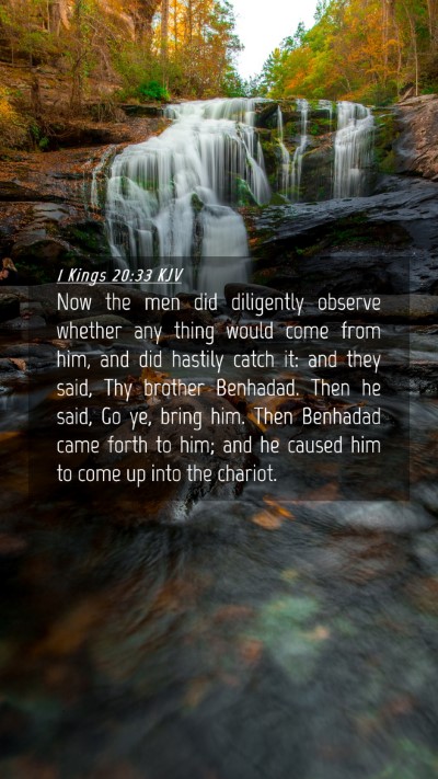 Picture 04 - 1 Kings 20:33 KJV Mobile Phone Wallpaper - Now the men did diligently observe whether any - Mobile Bible Verse Wallpaper