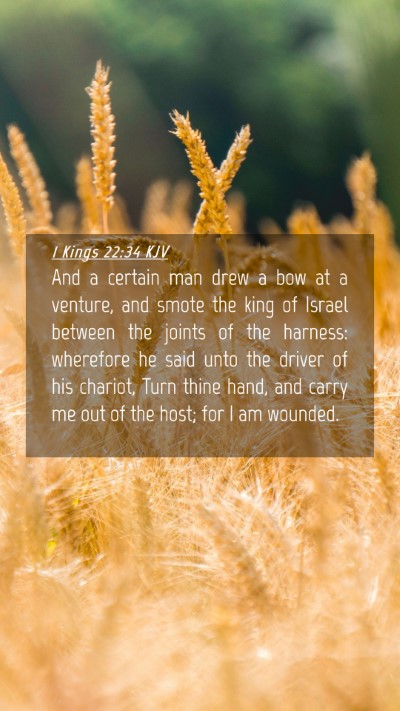 Picture 04 - 1 Kings 22:34 KJV Mobile Phone Wallpaper - And a certain man drew a bow at a venture, and - Mobile Bible Verse Wallpaper