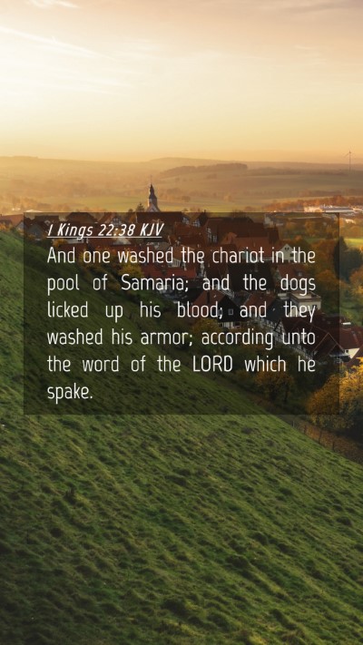 Picture 04 - 1 Kings 22:38 KJV Mobile Phone Wallpaper - And one washed the chariot in the pool of - Mobile Bible Verse Wallpaper