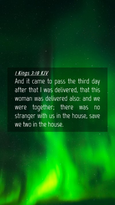 Picture 04 - 1 Kings 3:18 KJV Mobile Phone Wallpaper - And it came to pass the third day after that I - Mobile Bible Verse Wallpaper