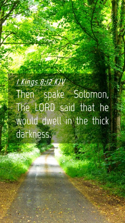 Picture 04 - 1 Kings 8:12 KJV Mobile Phone Wallpaper - Then spake Solomon, The LORD said that he would - Mobile Bible Verse Wallpaper