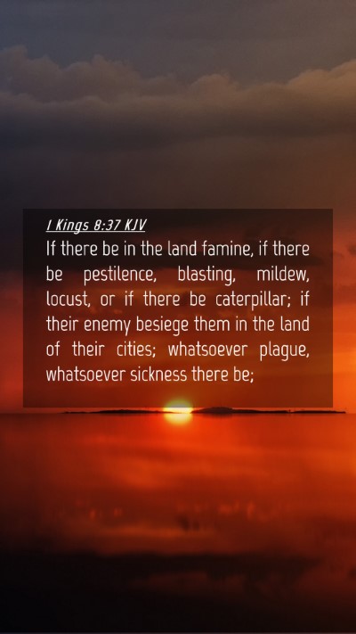 Picture 04 - 1 Kings 8:37 KJV Mobile Phone Wallpaper - If there be in the land famine, if there be - Mobile Bible Verse Wallpaper