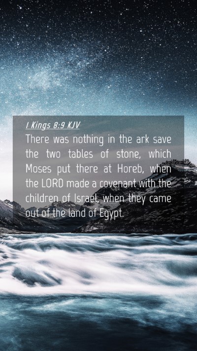 Picture 04 - 1 Kings 8:9 KJV Mobile Phone Wallpaper - There was nothing in the ark save the two tables - Mobile Bible Verse Wallpaper