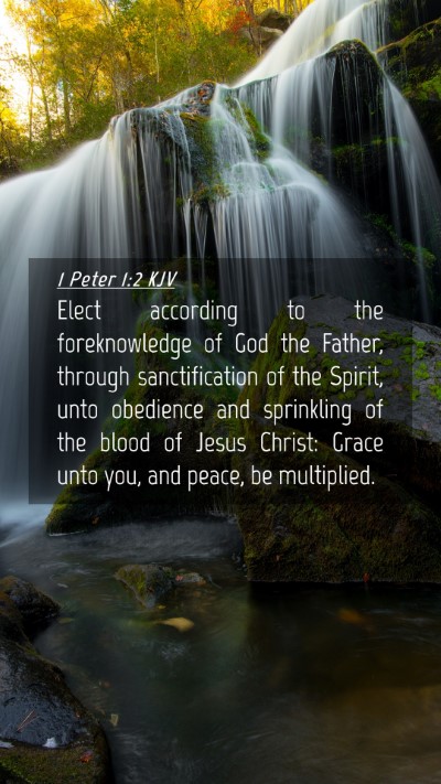 Picture 04 - 1 Peter 1:2 KJV Mobile Phone Wallpaper - Elect according to the foreknowledge of God the - Mobile Bible Verse Wallpaper
