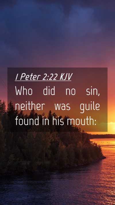 Picture 04 - 1 Peter 2:22 KJV Mobile Phone Wallpaper - Who did no sin, neither was guile found in his - Mobile Bible Verse Wallpaper