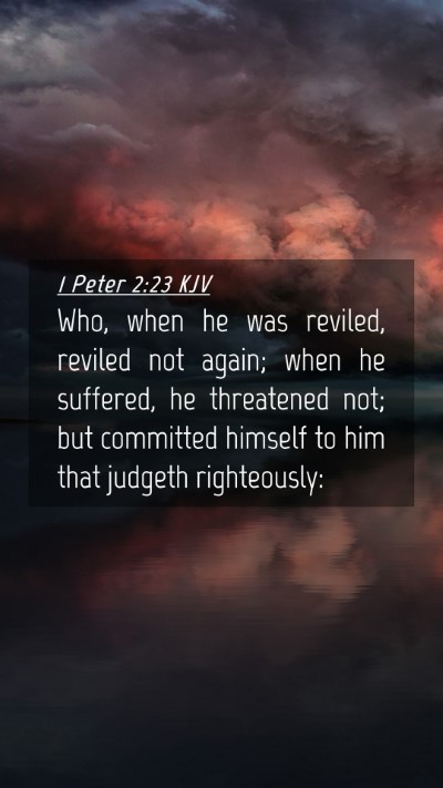 Picture 04 - 1 Peter 2:23 KJV Mobile Phone Wallpaper - Who, when he was reviled, reviled not again; when - Mobile Bible Verse Wallpaper