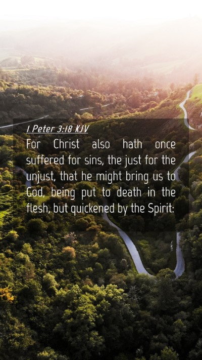 Picture 04 - 1 Peter 3:18 KJV Mobile Phone Wallpaper - For Christ also hath once suffered for sins, the - Mobile Bible Verse Wallpaper