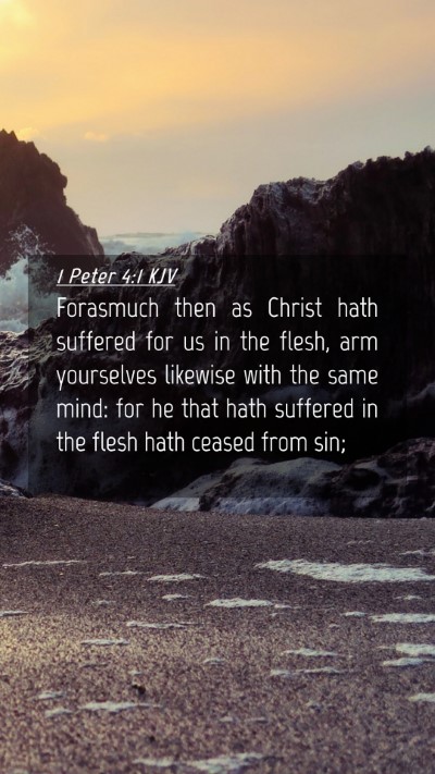 Picture 04 - 1 Peter 4:1 KJV Mobile Phone Wallpaper - Forasmuch then as Christ hath suffered for us in - Mobile Bible Verse Wallpaper