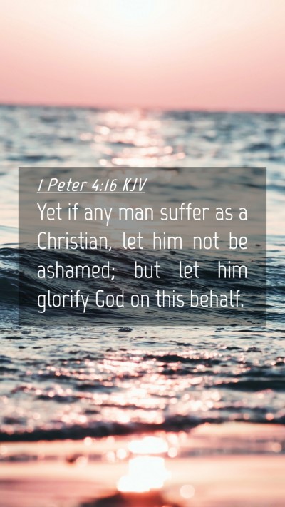 Picture 04 - 1 Peter 4:16 KJV Mobile Phone Wallpaper - Yet if any man suffer as a Christian, let him not - Mobile Bible Verse Wallpaper