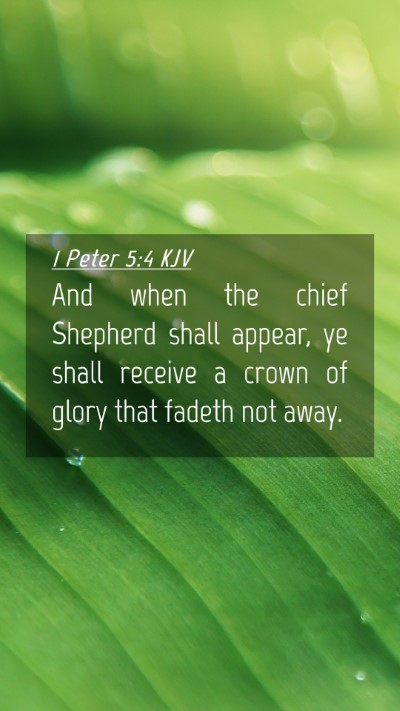 Picture 04 - 1 Peter 5:4 KJV Mobile Phone Wallpaper - And when the chief Shepherd shall appear, ye - Mobile Bible Verse Wallpaper