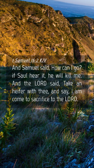 Picture 04 - 1 Samuel 16:2 KJV Mobile Phone Wallpaper - And Samuel said, How can I go? if Saul hear it, - Mobile Bible Verse Wallpaper