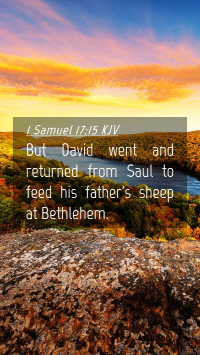 Picture 04 - 1 Samuel 17:15 KJV Mobile Phone Wallpaper - But David went and returned from Saul to feed his - Mobile Bible Verse Wallpaper