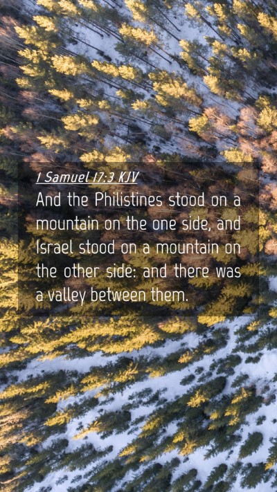 Picture 04 - 1 Samuel 17:3 KJV Mobile Phone Wallpaper - And the Philistines stood on a mountain on the - Mobile Bible Verse Wallpaper