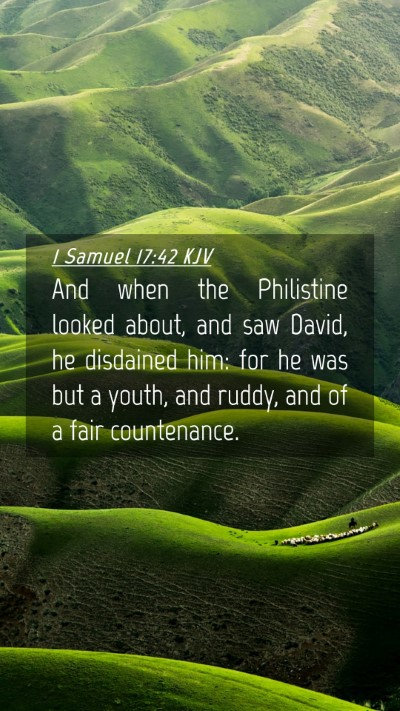 Picture 04 - 1 Samuel 17:42 KJV Mobile Phone Wallpaper - And when the Philistine looked about, and saw - Mobile Bible Verse Wallpaper