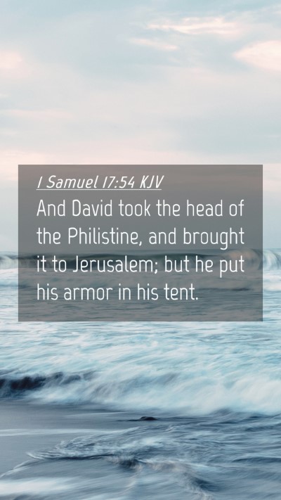 Picture 04 - 1 Samuel 17:54 KJV Mobile Phone Wallpaper - And David took the head of the Philistine, and - Mobile Bible Verse Wallpaper