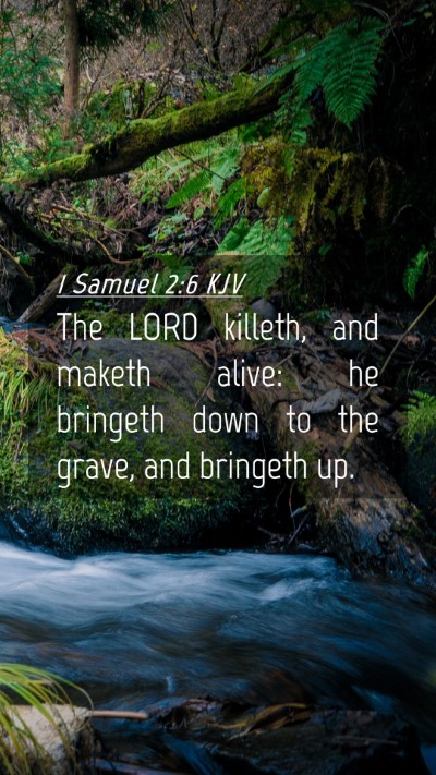 Picture 04 - 1 Samuel 2:6 KJV Mobile Phone Wallpaper - The LORD killeth, and maketh alive: he bringeth - Mobile Bible Verse Wallpaper