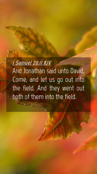 Picture 04 - 1 Samuel 20:11 KJV Mobile Phone Wallpaper - And Jonathan said unto David, Come, and let us go - Mobile Bible Verse Wallpaper