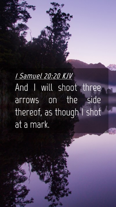 Picture 04 - 1 Samuel 20:20 KJV Mobile Phone Wallpaper - And I will shoot three arrows on the side - Mobile Bible Verse Wallpaper