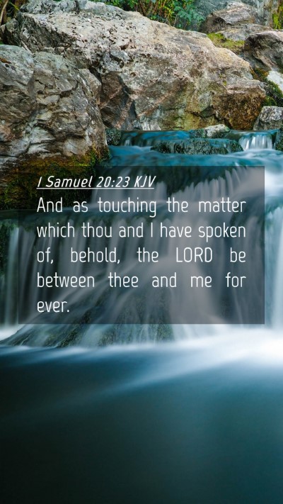 Picture 04 - 1 Samuel 20:23 KJV Mobile Phone Wallpaper - And as touching the matter which thou and I have - Mobile Bible Verse Wallpaper