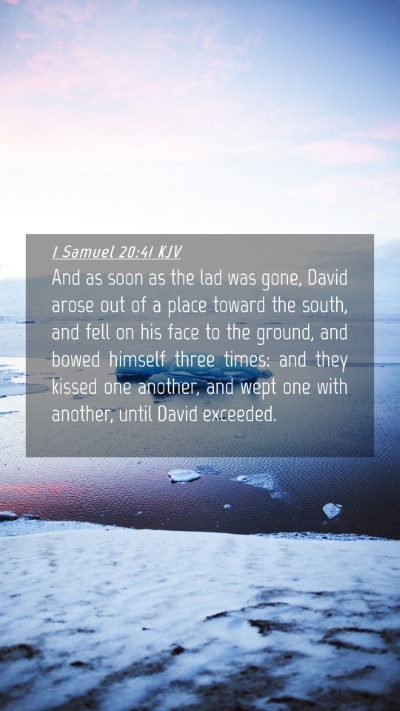 Picture 04 - 1 Samuel 20:41 KJV Mobile Phone Wallpaper - And as soon as the lad was gone, David arose out - Mobile Bible Verse Wallpaper