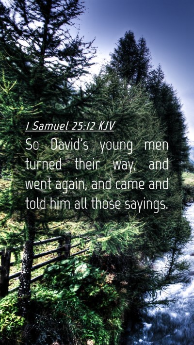 Picture 04 - 1 Samuel 25:12 KJV Mobile Phone Wallpaper - So David's young men turned their way, and went - Mobile Bible Verse Wallpaper