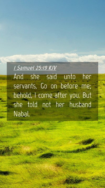 Picture 04 - 1 Samuel 25:19 KJV Mobile Phone Wallpaper - And she said unto her servants, Go on before me; - Mobile Bible Verse Wallpaper