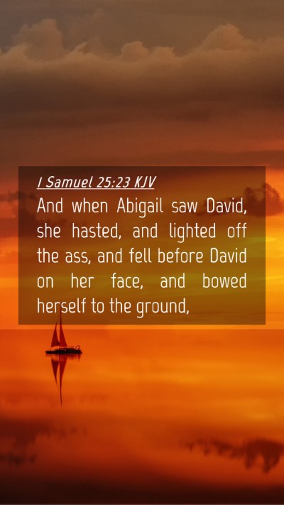 Picture 04 - 1 Samuel 25:23 KJV Mobile Phone Wallpaper - And when Abigail saw David, she hasted, and - Mobile Bible Verse Wallpaper